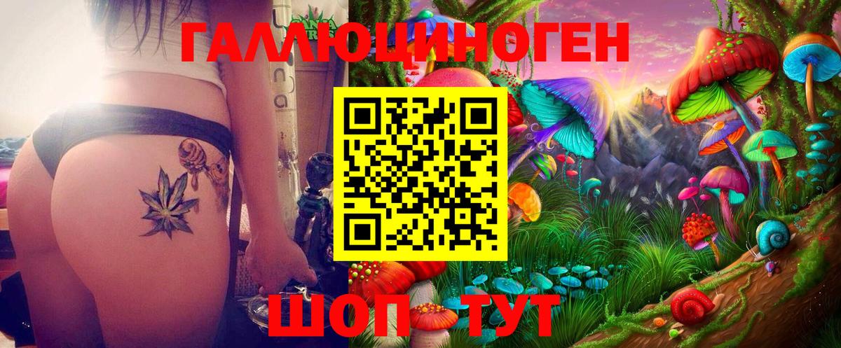 Псилоцибиновые грибы Psilocybe  Вход с VPN  Приморско-Ахтарск 